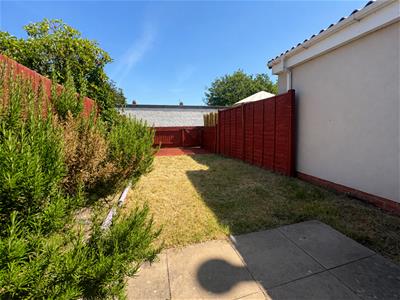 Picture 19